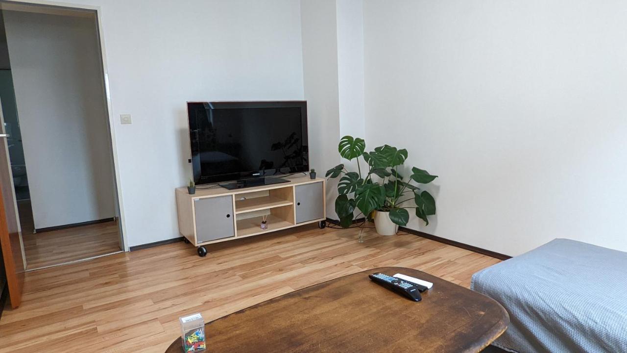 Vacation Apartment In The Black Forest 菲林根-施文宁根 外观 照片
